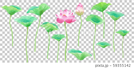 蓮花花和葉的零件設置水彩插圖 蓮花花和葉的零件設置水彩插圖 59355142