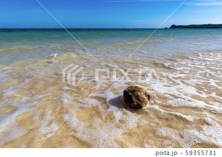 沖縄県 石垣島の綺麗な海と椰子の実の写真素材