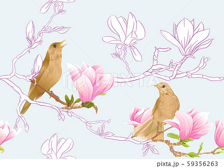 Magnolia tree branch 59356263