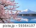 富士山と桜 59364107