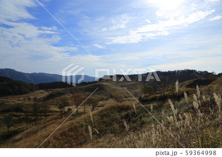 砥峰高原 【東屋  ・ ススキ ・ ロケ地 ・ 秋】　兵庫県神河町 59364998