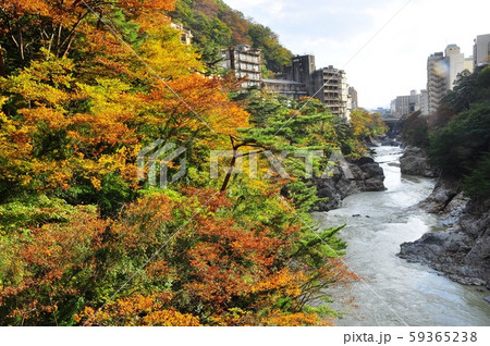 鬼怒川温泉 滝見橋からの鬼怒川と紅葉 鬼怒川温泉 滝見橋からの鬼怒川と紅葉 59365238
