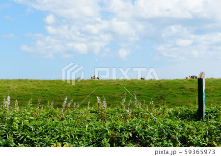 北海道の牧場風景 59365973