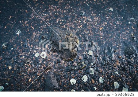 Small stones by the sea with bokeh effect. Blurred Small stones by the sea with bokeh effect. Blurred 59366928