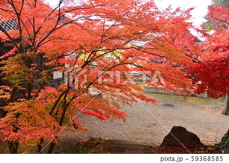 秋の保科清水寺 59368585