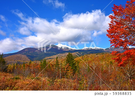 秋の信州　乗鞍高原紅葉 59368835
