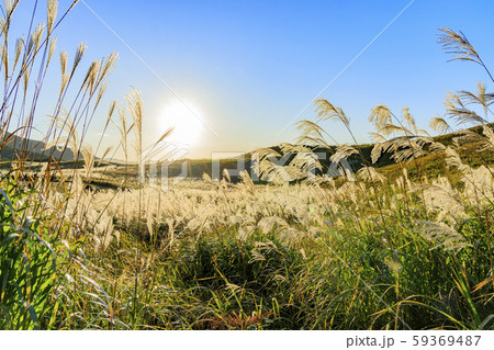 曽爾高原 曽爾高原 59369487