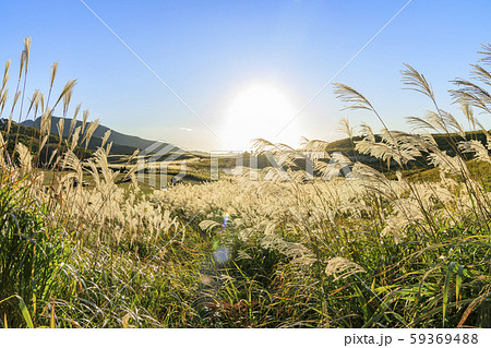 曽爾高原 59369488