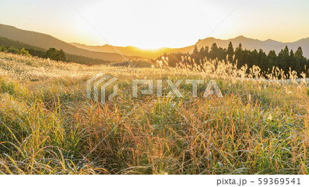 曽爾高原 59369541