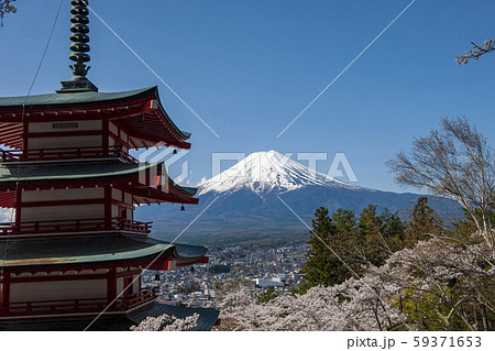 五重塔と桜と富士山 59371653