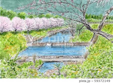 川辺の桜のイラスト素材