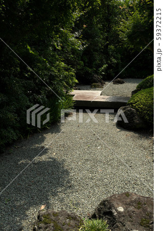 富士 竹採公園の風景 富士 竹採公園の風景 59372215
