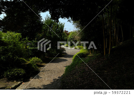 富士　竹採公園 59372221