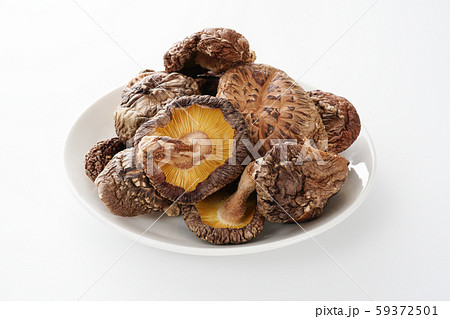 乾しいたけ　白背景 59372501