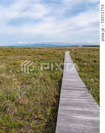 北海道石狩・石狩川河口とはまなすの丘公園の夏景色 北海道石狩・石狩川河口とはまなすの丘公園の夏景色 59372759