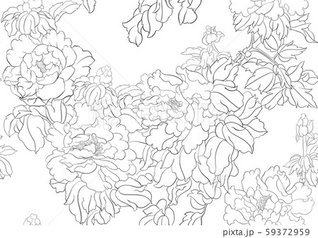 Peony tree branch with flowers 59372959