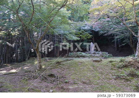 崇福寺跡 59373069