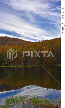 信州の秋　御射鹿池 59373120