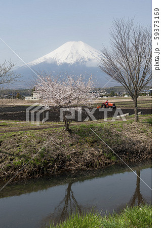 富士の山村の春 富士の山村の春 59373169