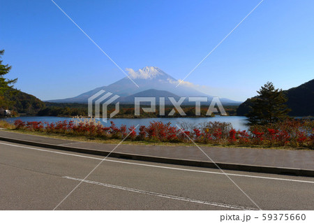 精進湖から富士山を望む 59375660