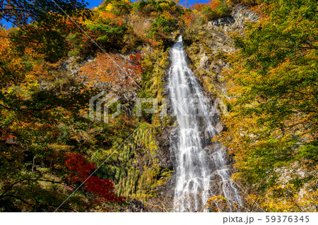 紅葉の天滝渓谷 59376345