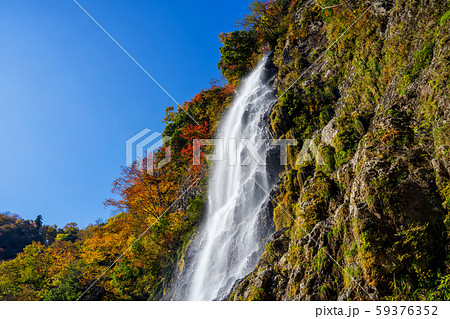 紅葉の天滝渓谷 59376352