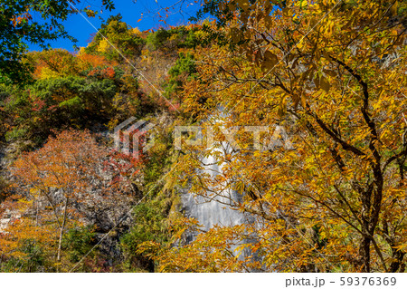 紅葉の天滝渓谷 紅葉の天滝渓谷 59376369