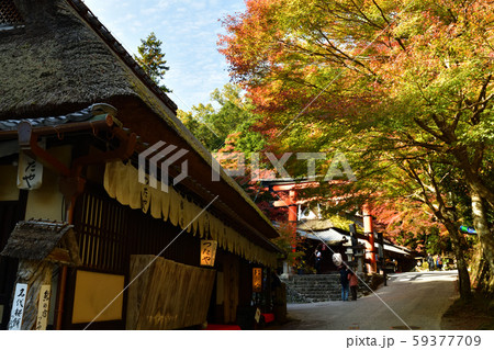 奥嵯峨の紅葉 59377709