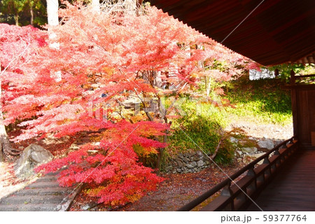 清水寺本堂の回廊からの眺め 清水寺本堂の回廊からの眺め 59377764