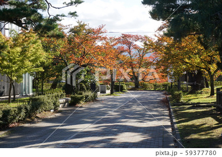 紅葉の公園 紅葉の公園 59377780