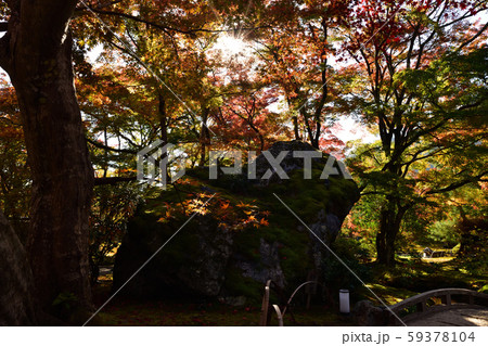 宝厳院の紅葉 59378104