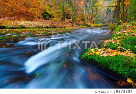 Boulders with orange dots of beeches and maple 59378804