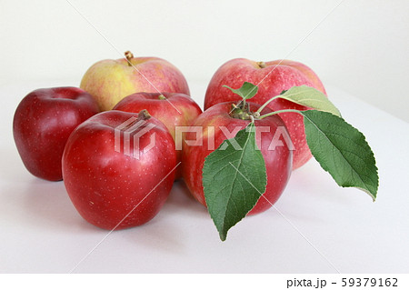 秋イメージ 59379162