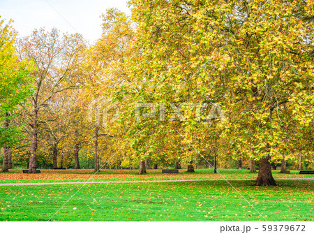 秋のロンドン　グリーン・パーク 59379672