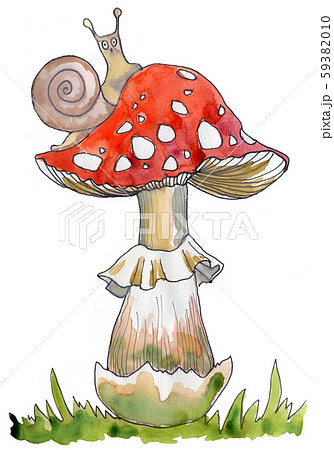 Amanita Poisonous Mushroom Hand Drawn のイラスト素材