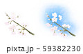 【カットイラスト】桜の枝 59382230