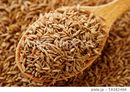 クミンシード クミンシード 59382466