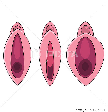 Вагина Set Human Vagina, Vaginal Opening Or Femaleのイラスト素材 [59384654] - PIXTA