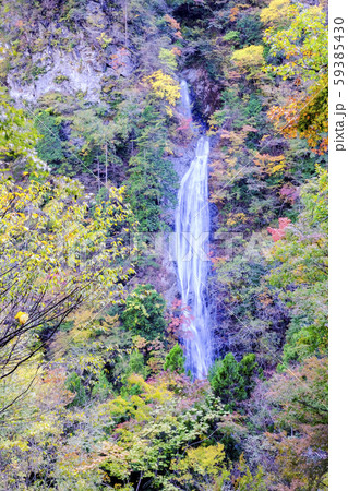 紅葉の丸神の滝(縦) 紅葉の丸神の滝(縦) 59385430