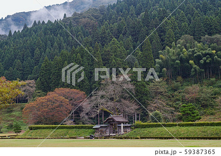 福井県/ 一乗谷朝倉氏遺跡 59387365