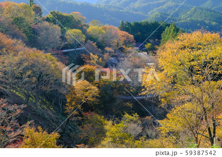 秋の吉野山夕景(奈良県吉野郡吉野町) 秋の吉野山夕景(奈良県吉野郡吉野町) 59387542