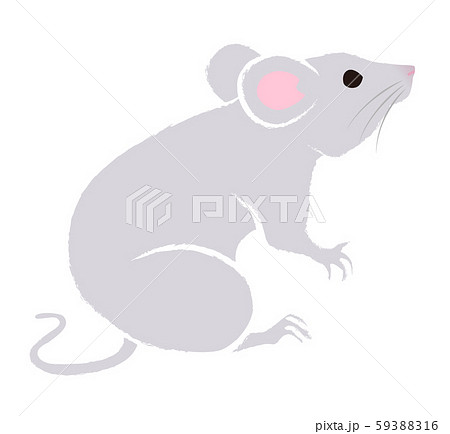 上を向くネズミ 子年年賀状素材のイラスト素材