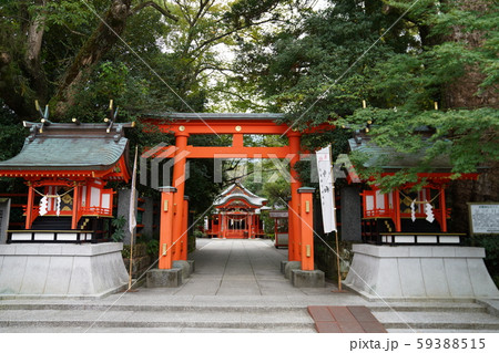 枚聞神社 59388515