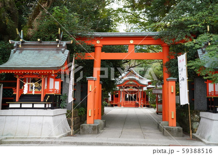 枚聞神社 59388516