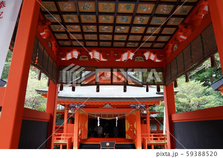 枚聞神社 枚聞神社 59388520