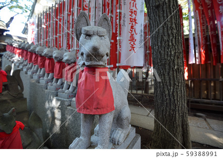 豊川稲荷 東京別院 豊川稲荷 東京別院 59388991