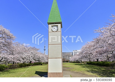猿江恩賜公園の桜と時計台にスカイツリーの写真素材