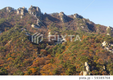 自然 風景 韓国 59389768