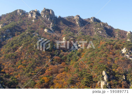 自然 風景 韓国 59389771