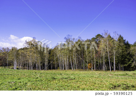 （長野県）紅葉が美しい、開田高原・木曽馬の里 59390125